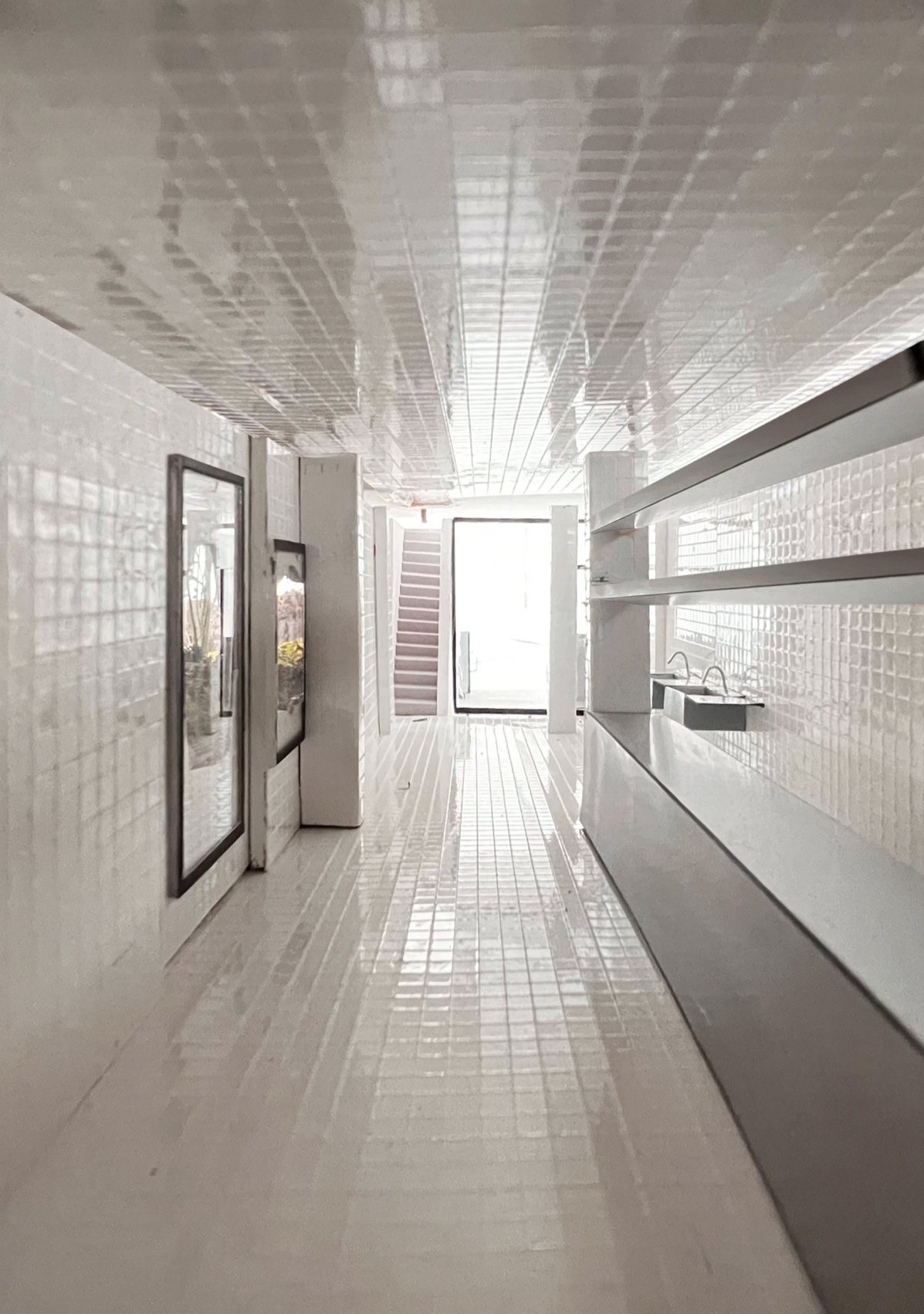 la forêt enchantée