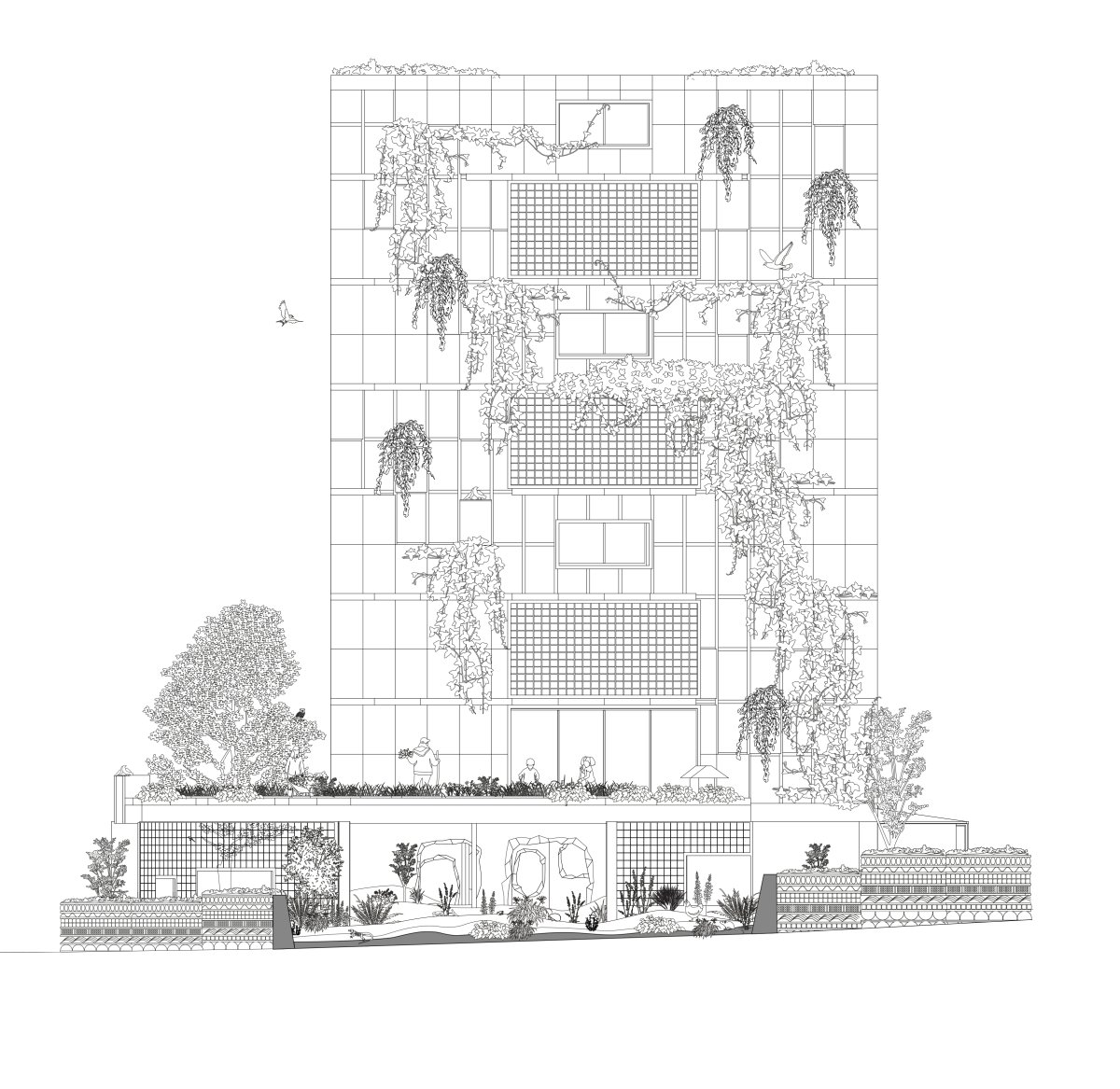 Image 10