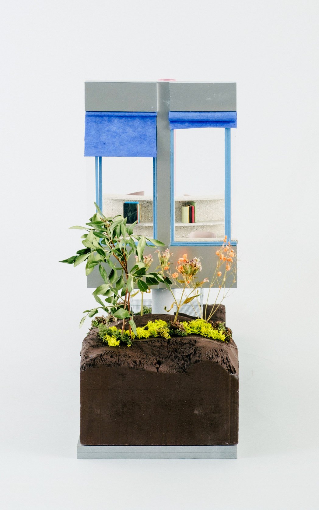Image 4