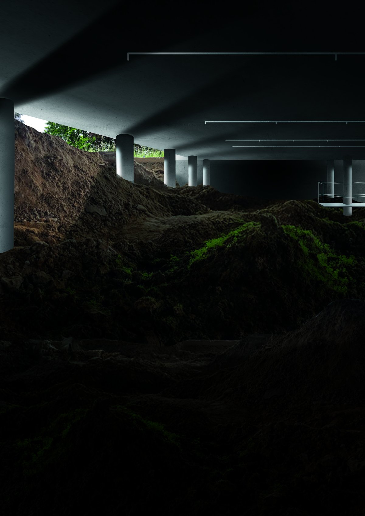 Naturarium Naturarium est un espace expérimental consacré à l’éducation et à l’observation du vivant.